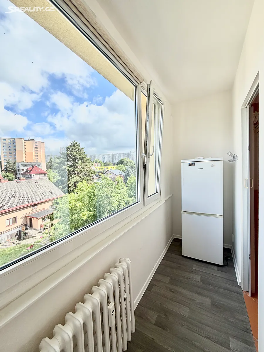 Pronájem bytu 2+1 46 m² - Widok 3