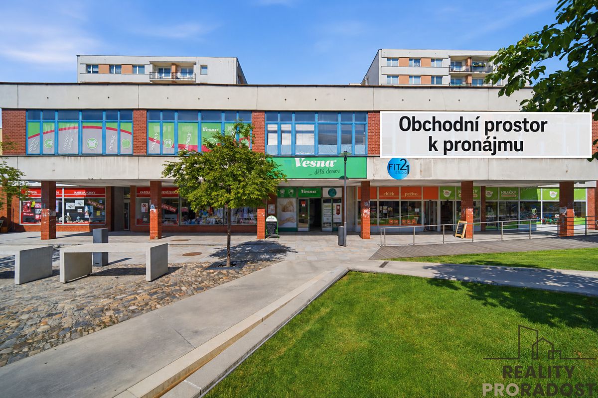 Pronájem obchodního prostoru 317 m²