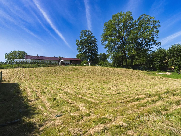 Grundstück zum Kauf, 1.776 m² (2 von 5)