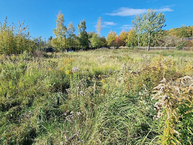 Prodej pozemku, 1 775 m² (10 z 18)