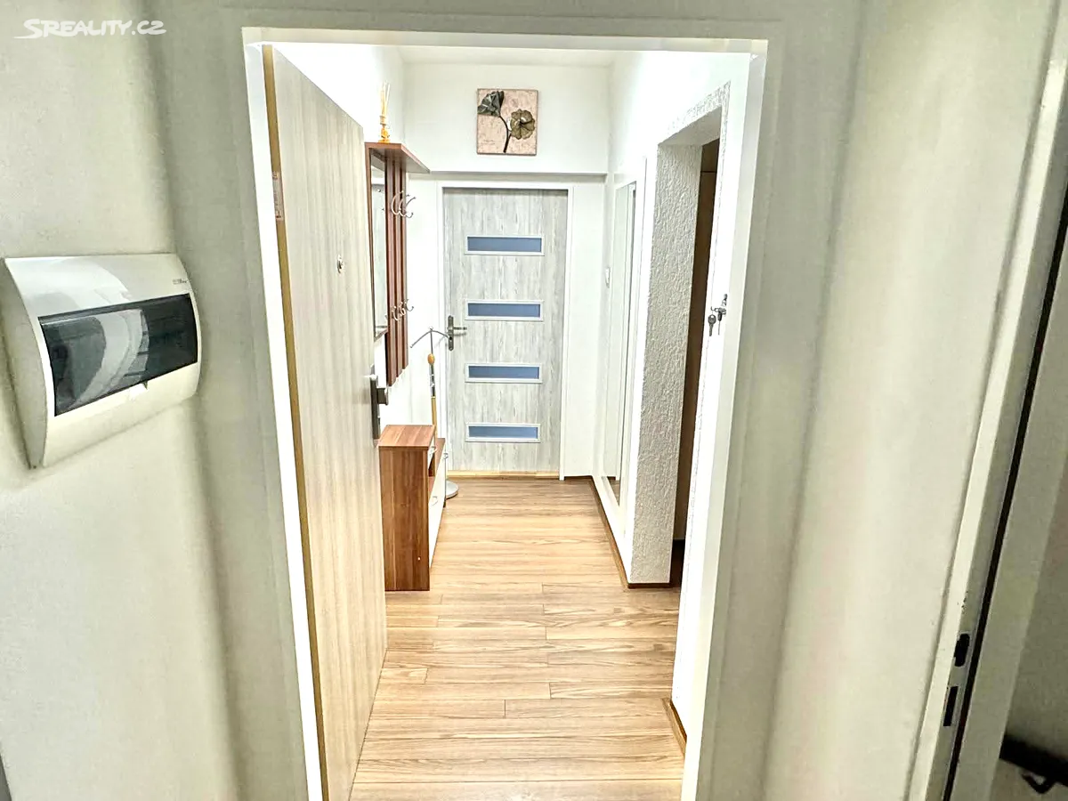Pronájem bytu 1+kk 40 m² - Widok 5