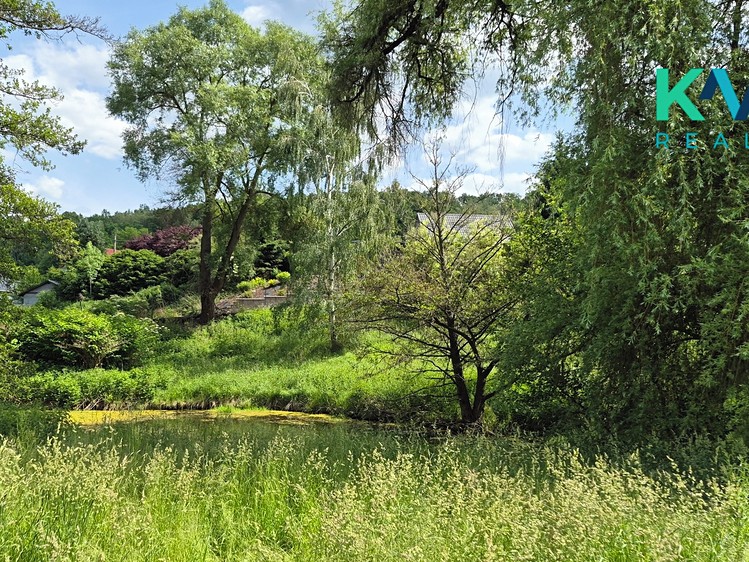 Pronájem pozemku, 3 000 m² (6 z 8)