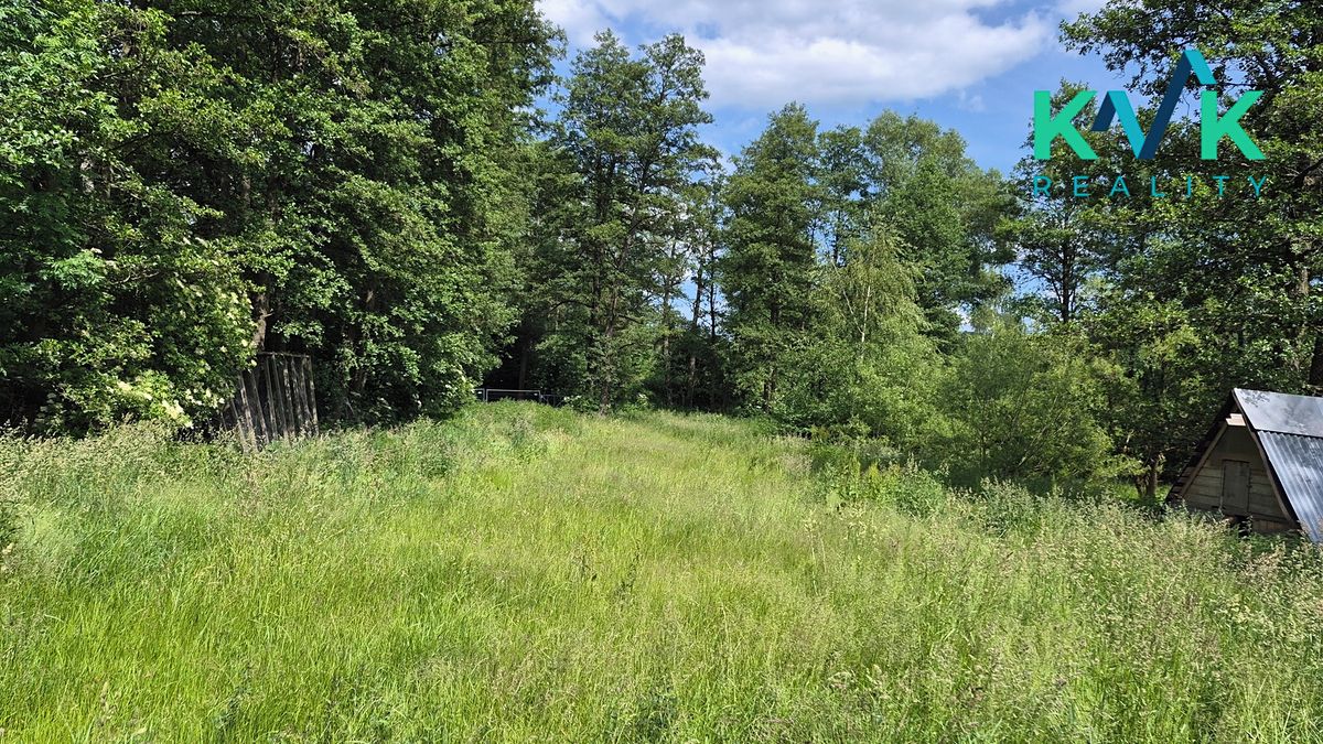 Pronájem zahrady 3000 m² – fotografie 4