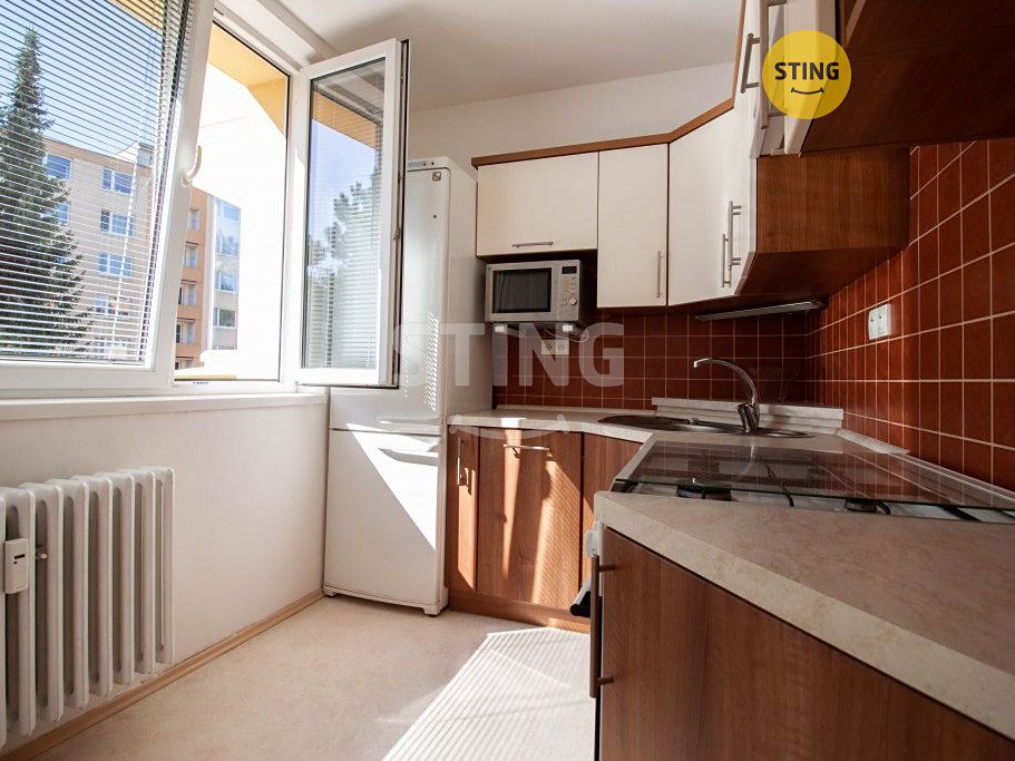 Pronájem bytu 1+1 33 m²