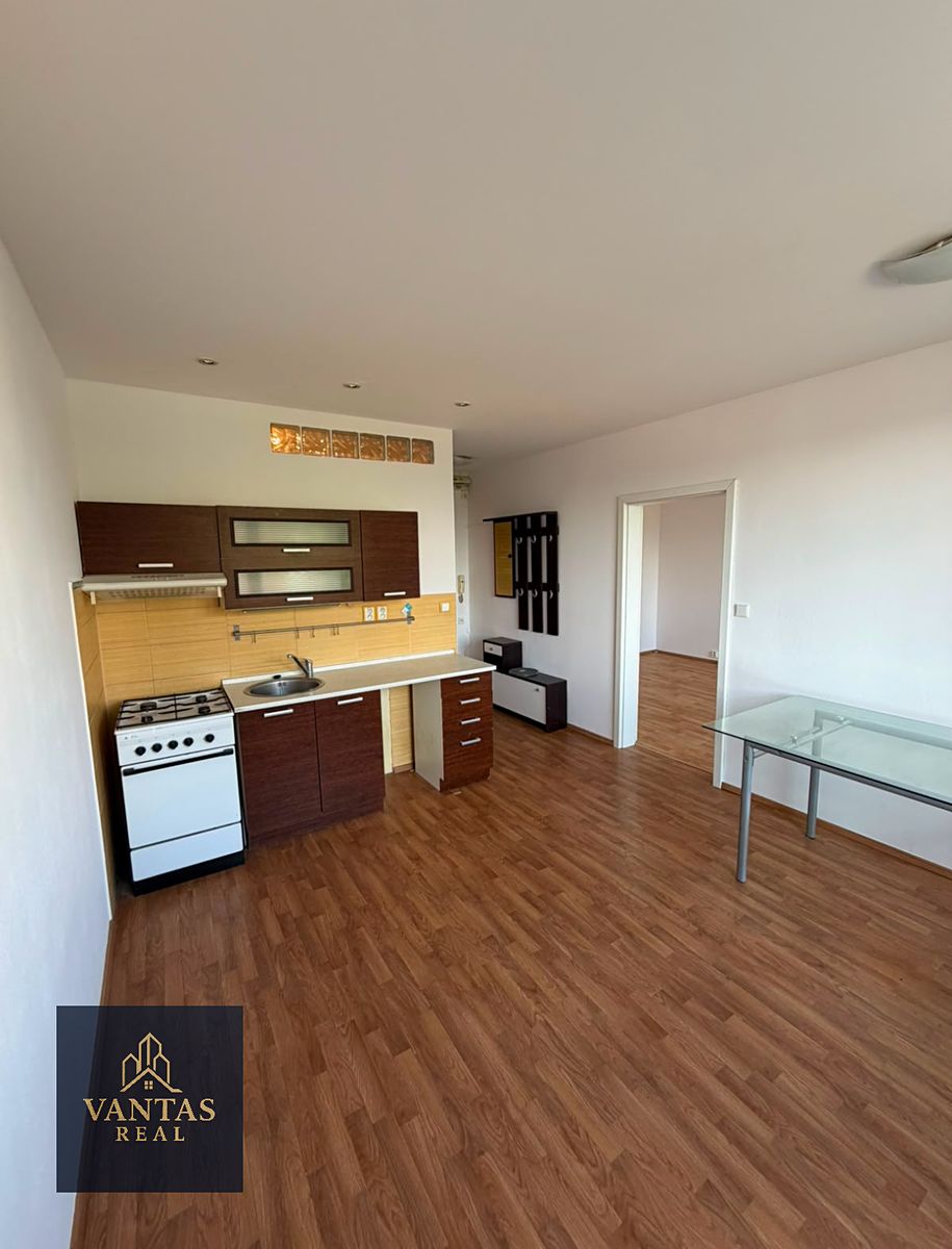 Pronájem bytu 1+1 42 m²
