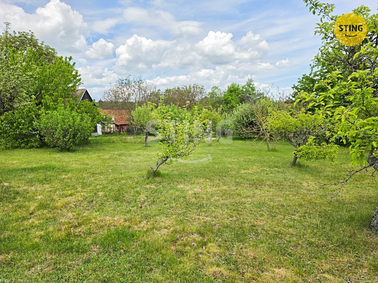 Ostatní