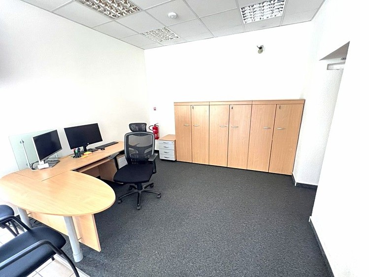 Pronájem komerčního prostoru, 273 m² (14 z 30)