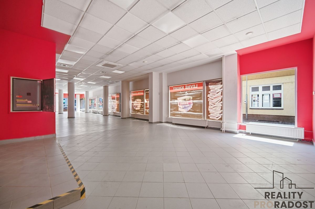 Pronájem obchodního prostoru 250 m² – fotografie 5