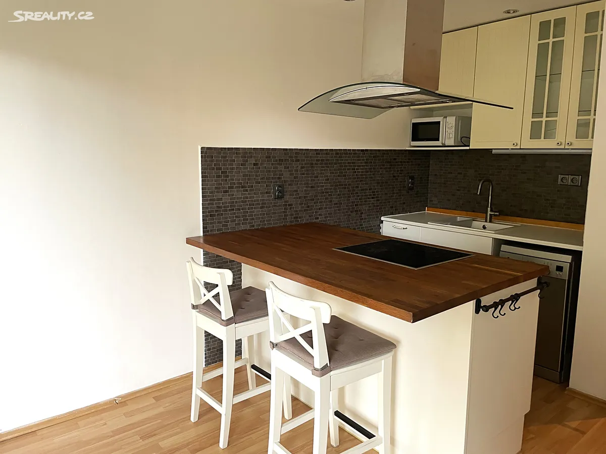 Pronájem bytu 1+kk 41 m² – pohled 2