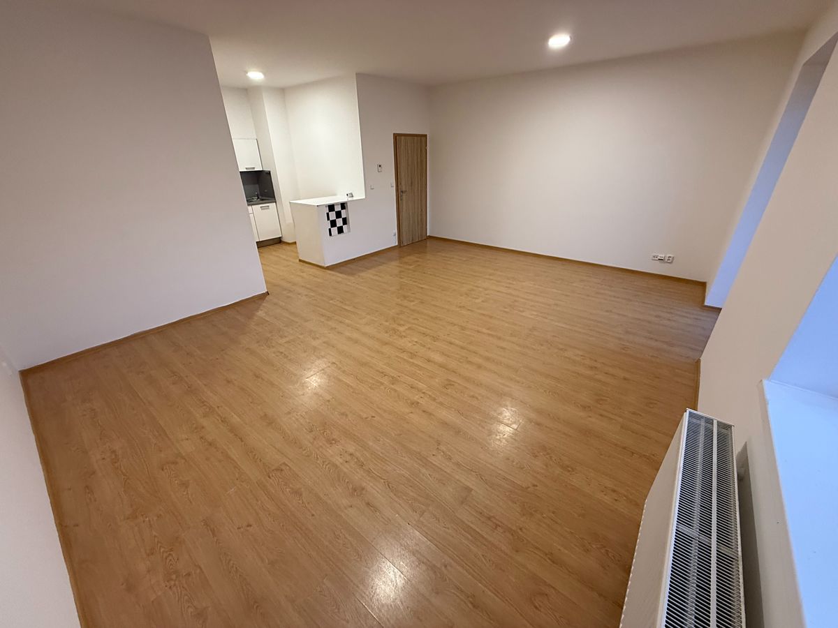 Pronájem bytu 1+kk 48 m²