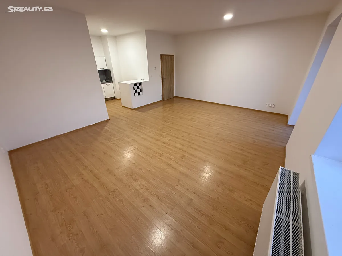 Pronájem bytu 1+kk 48 m²