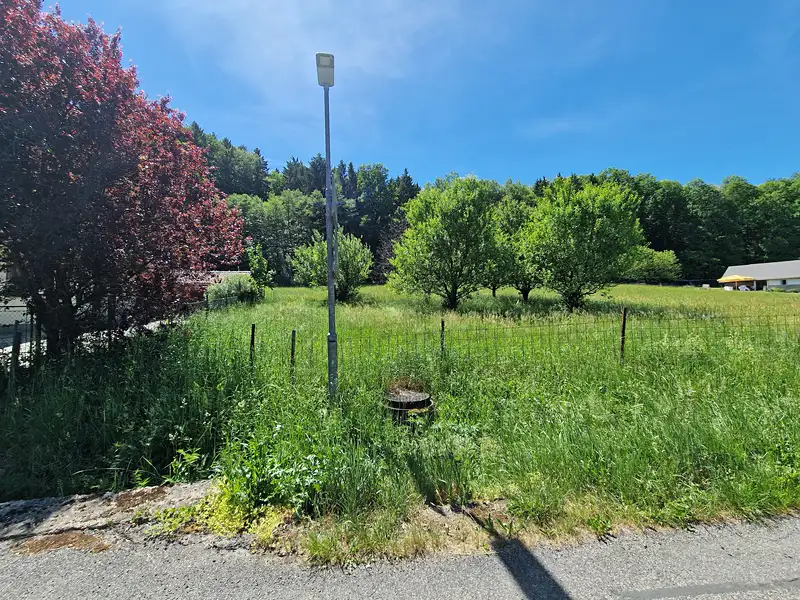 Prodej stavebního pozemku 1738 m², Hrubá Skála – náhled fotky 3