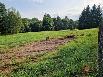 Grundstück zum Kauf, 3.023 m² (2 von 7)