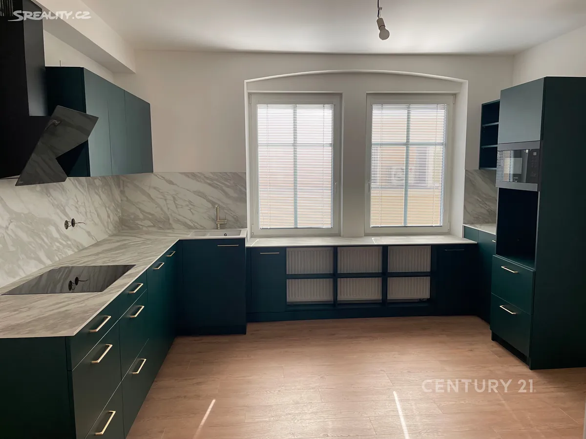 Pronájem bytu 2+1 70 m² - Widok 2