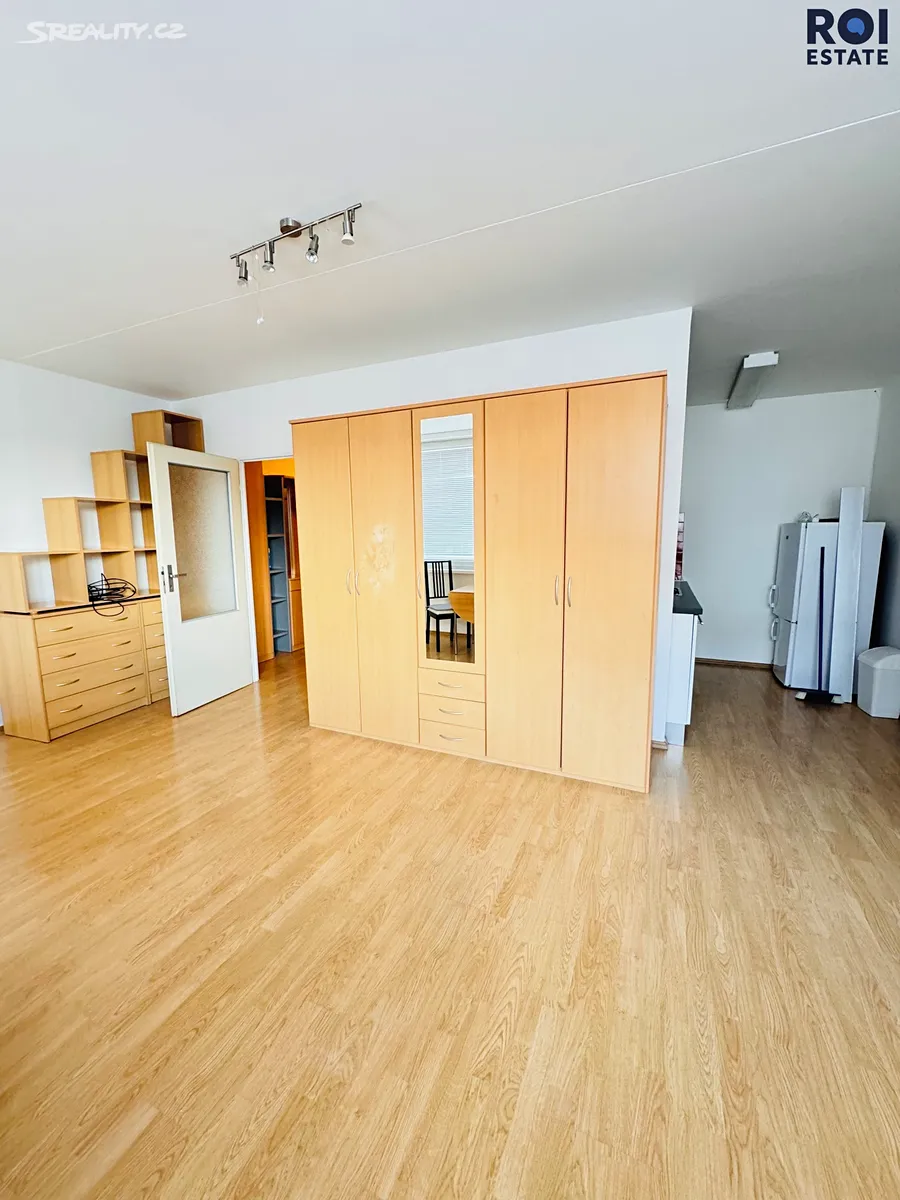 Pronájem bytu 1+kk 35 m² – další