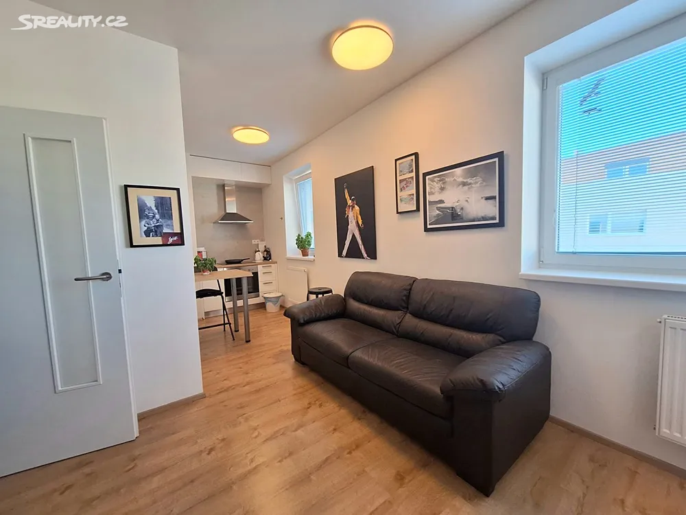 Pronájem bytu 1+kk 35 m² – pohled 2