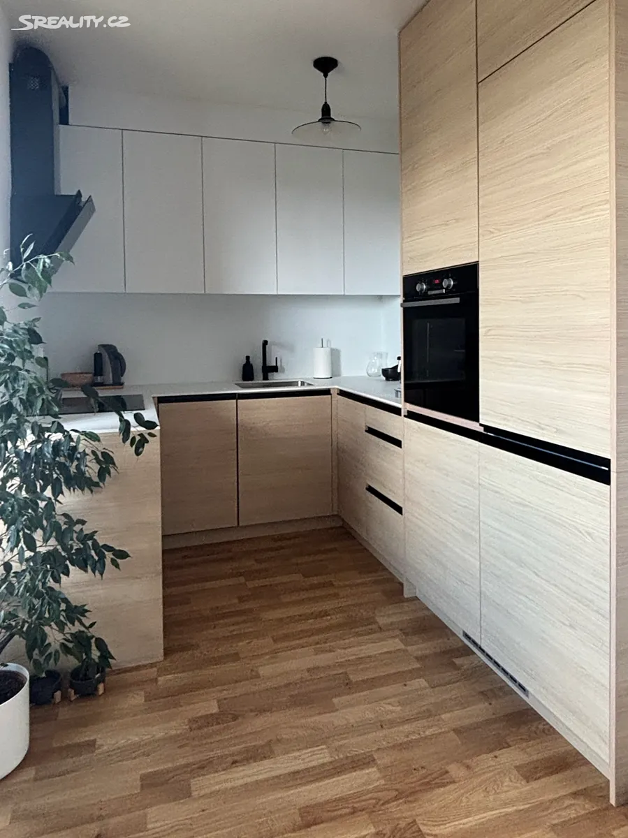 Pronájem bytu 1+kk 47 m² – další