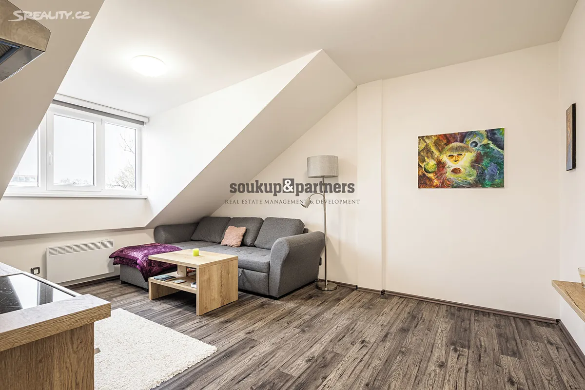 Pronájem bytu 2+kk 46 m² – pohled 4