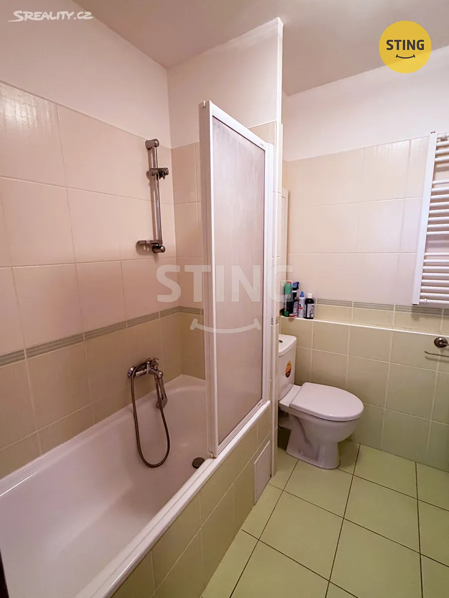 Pronájem bytu 1+1 36 m² – pohled 4