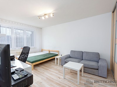 Pronájem bytu 1+1 40 m²