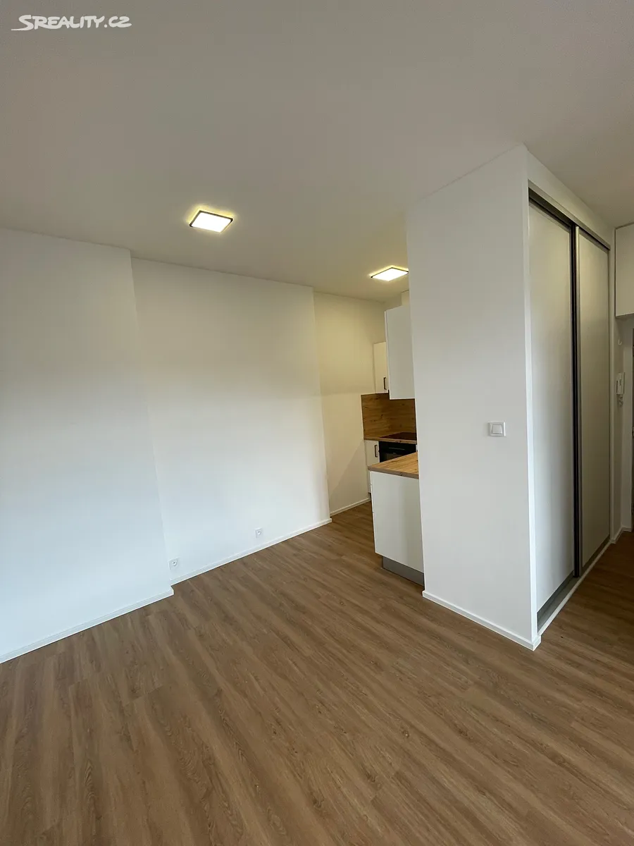 Pronájem bytu 3+kk 49 m² – další