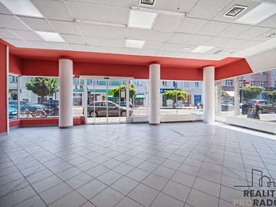 Комерційне приміщення в оренду, 250 м² (2 з 13)