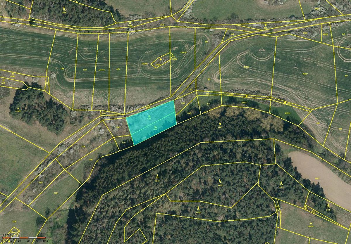 Prodej zahrady 1687 m², Mečichov – fotka 1 z 3