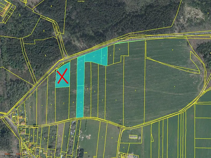 Prodej pole 32947 m², Merklín – náhled fotky 3