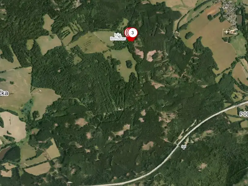 Prodej louky 1713 m², Staré Sedliště – náhled fotky 3