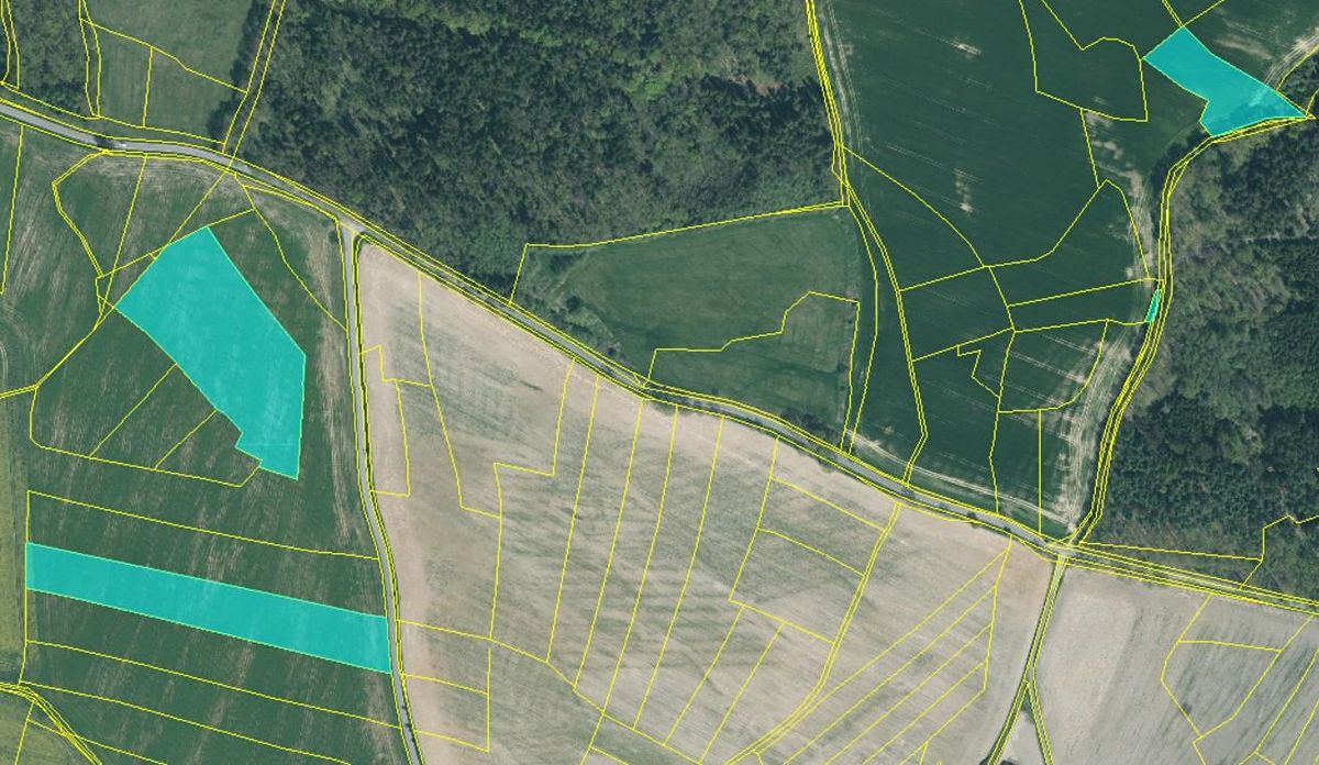 Prodej pole 53797 m², Louňová – fotka 1 z 3