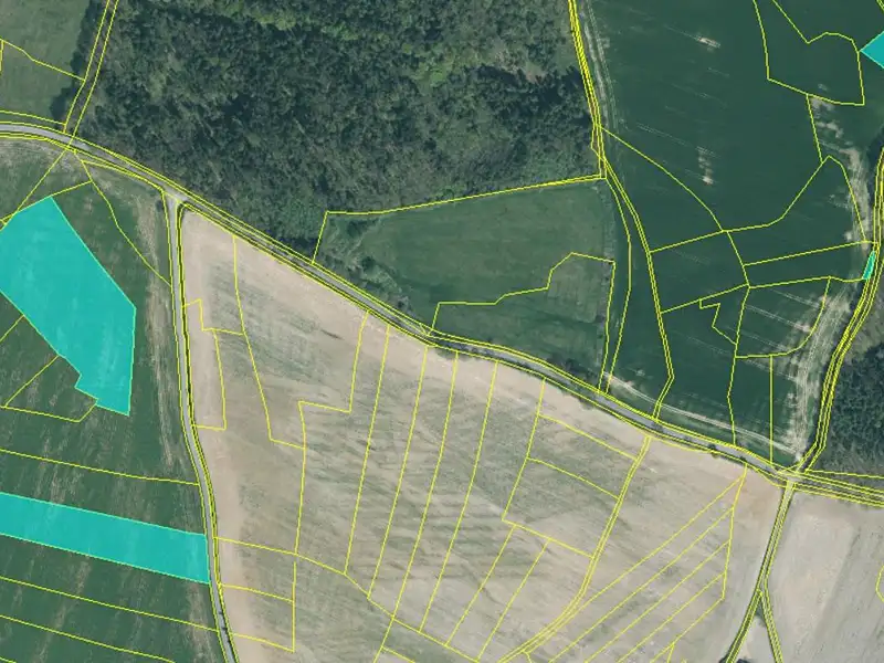 Prodej pole 53797 m², Louňová – náhled fotky 1