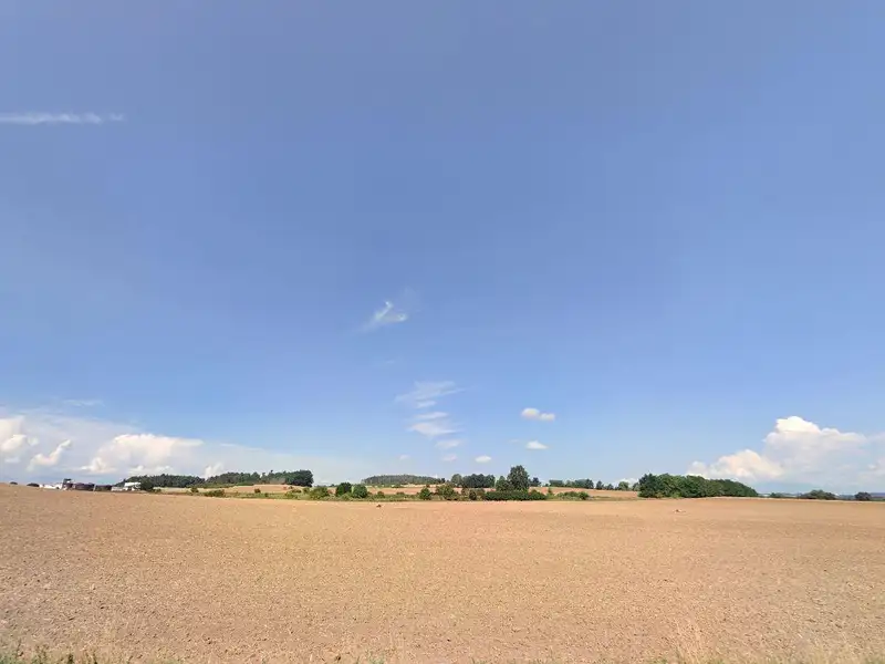 Prodej louky 441 m², Osek – náhled fotky 2