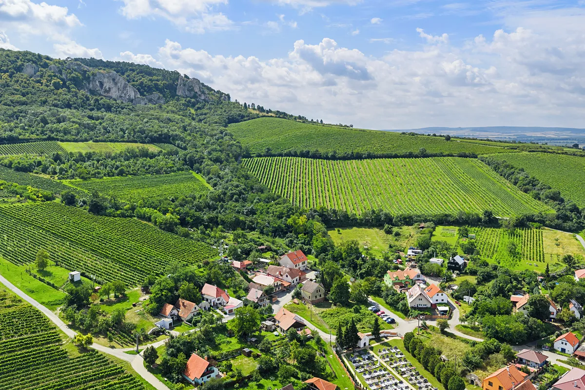 Prodej vinného sklepa 50 m²