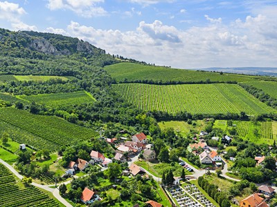 Prodej vinného sklepa 50 m²