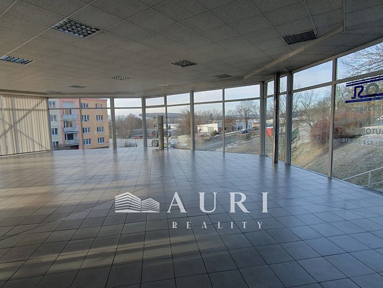 Gewerbefläche zum Kauf, 412 m² (5 von 8)