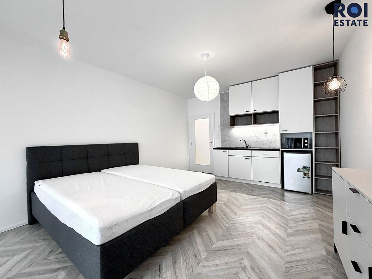Pronájem bytu 1+kk 38 m²
