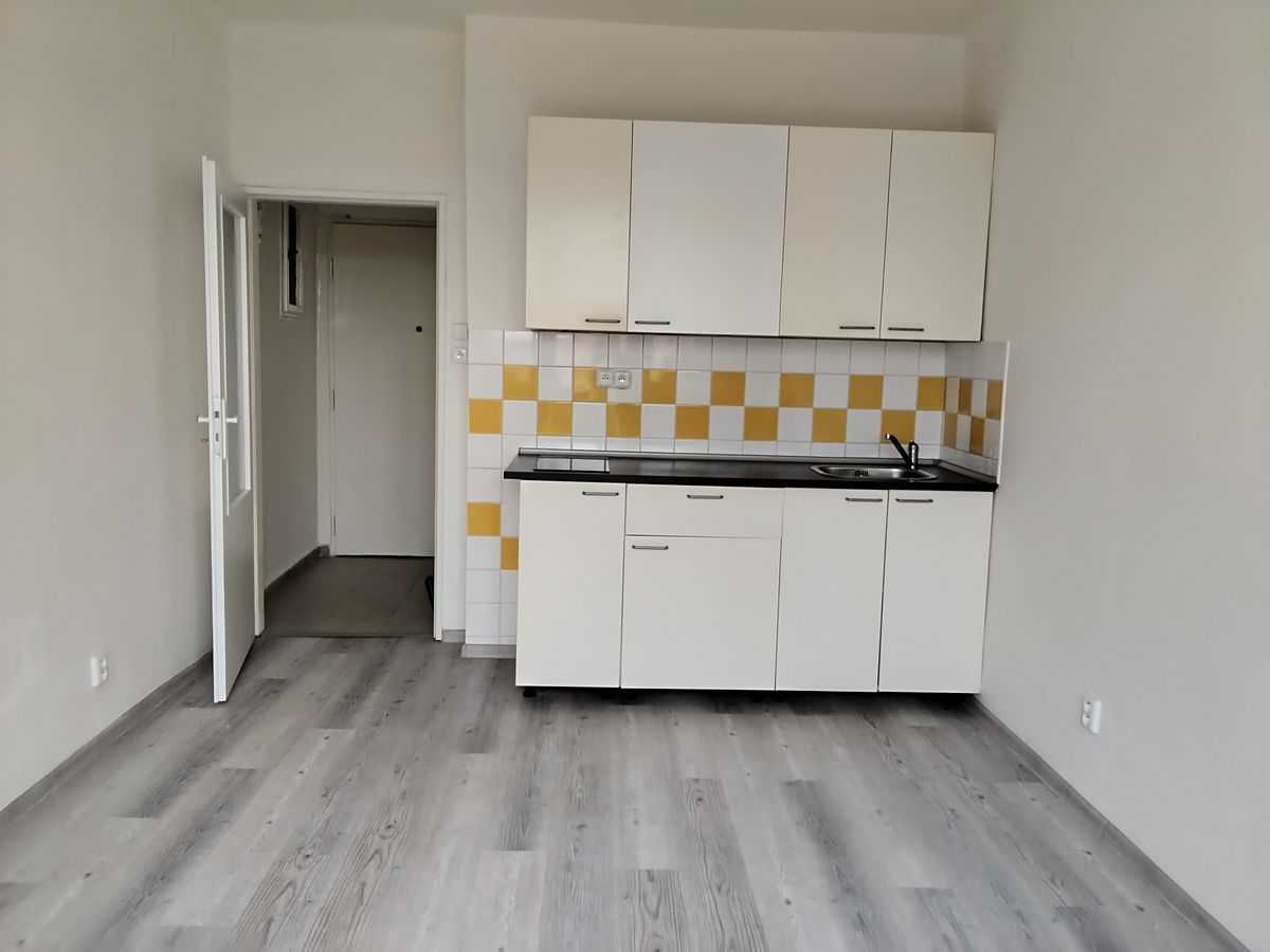 Pronájem bytu 1+kk 20 m²