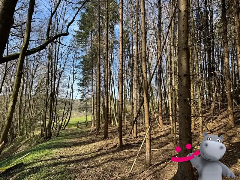 Prodej lesa 6656 m², Luhačovice – náhled fotky 2
