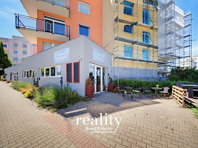 Prodej obchodního prostoru 234 m²