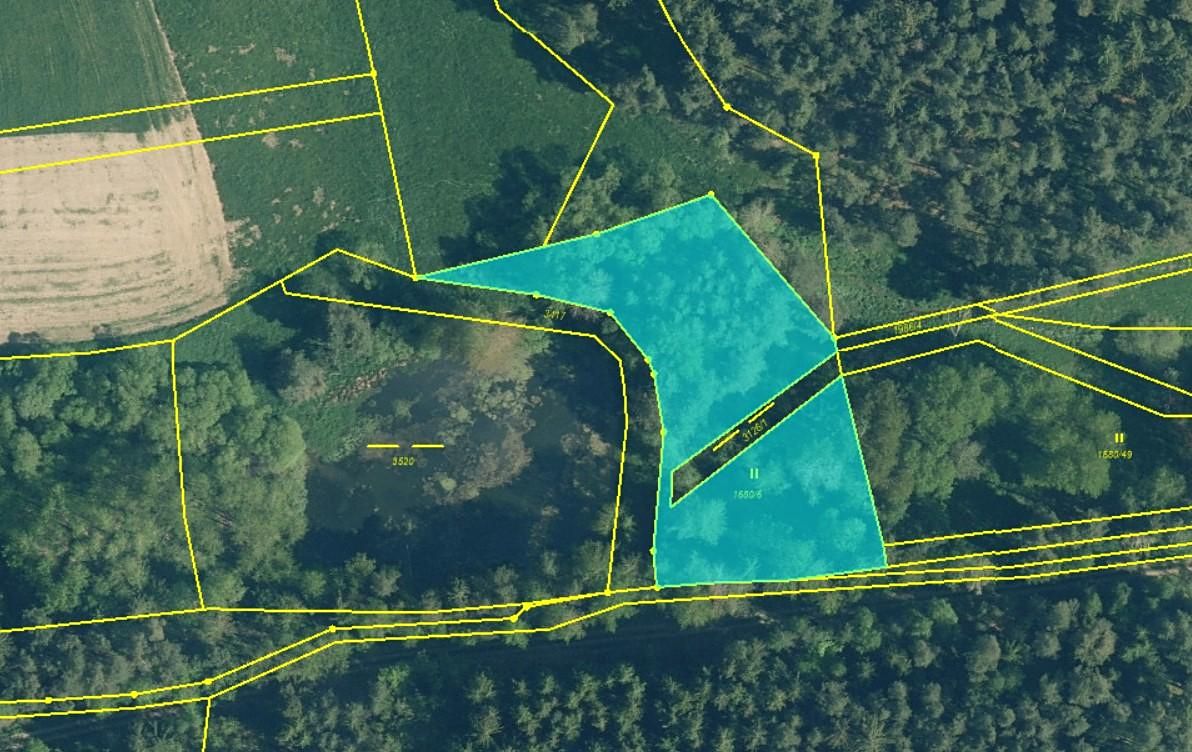 Prodej louky 2963 m², Bor – fotka 1 z 3