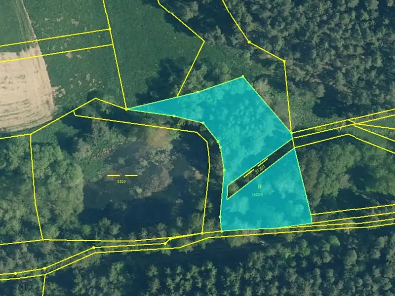 Prodej louky 2963 m², Bor – náhled fotky 1