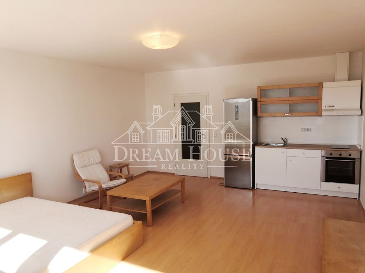 Pronájem bytu 1+kk 45 m²