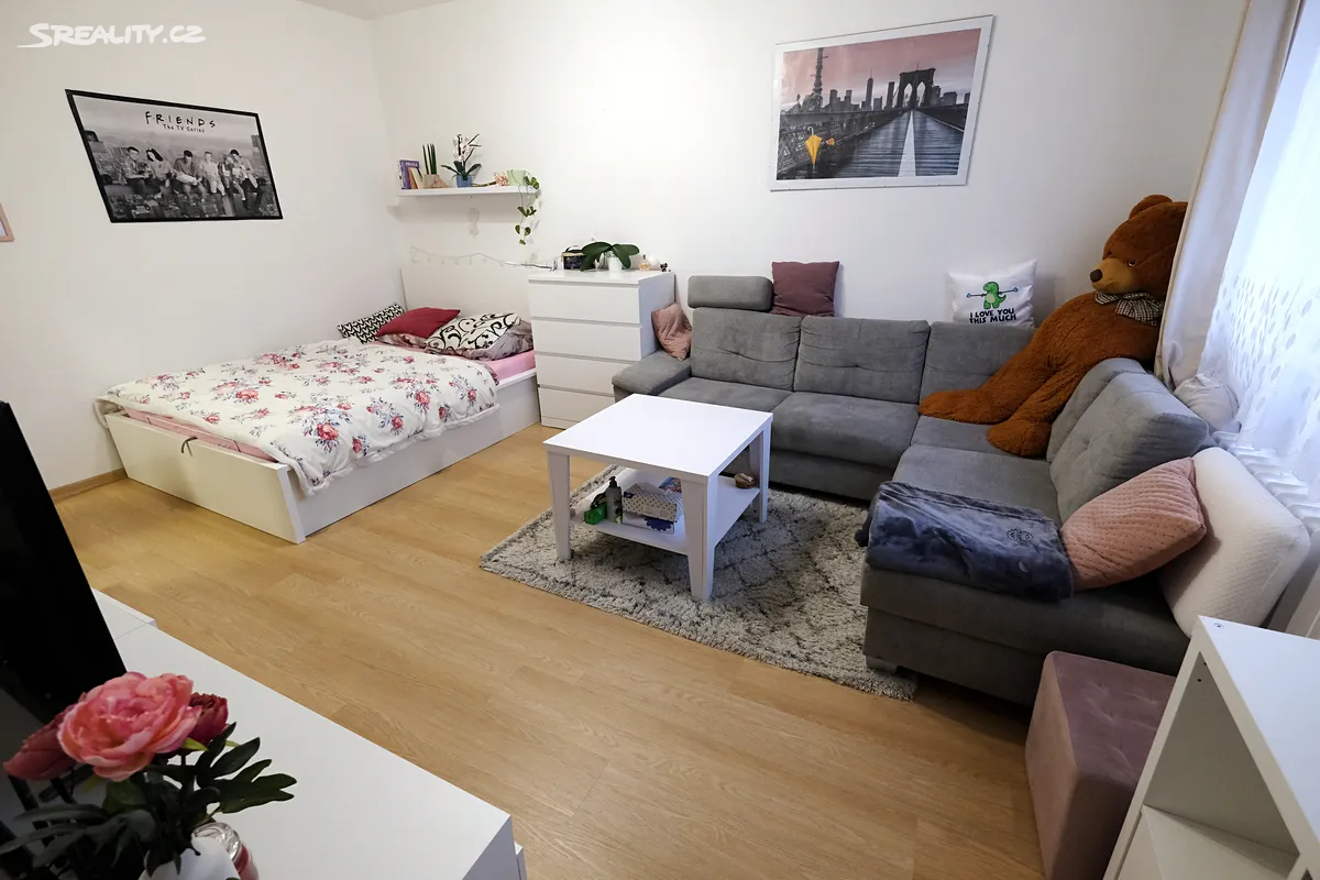 Pronájem bytu 1+1 38 m² – pohled 5