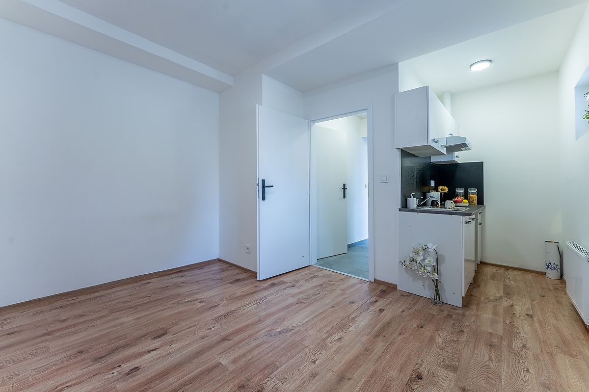 Pronájem bytu 1+kk 17 m²
