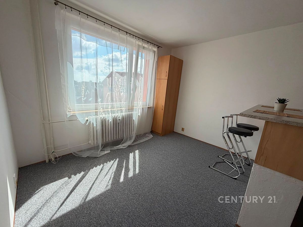 Pronájem bytu 1+kk 20 m²