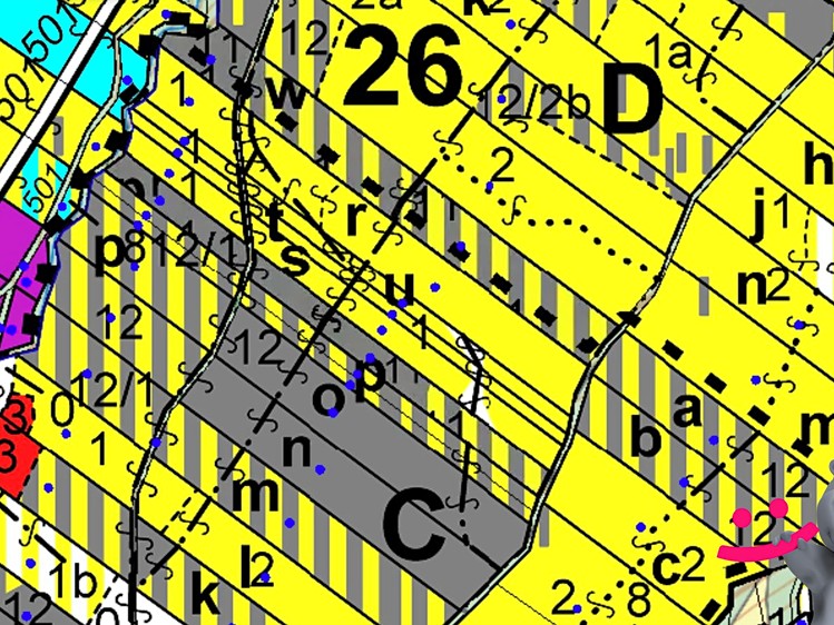 Prodej pozemku, 6 930 m² (6 z 7)