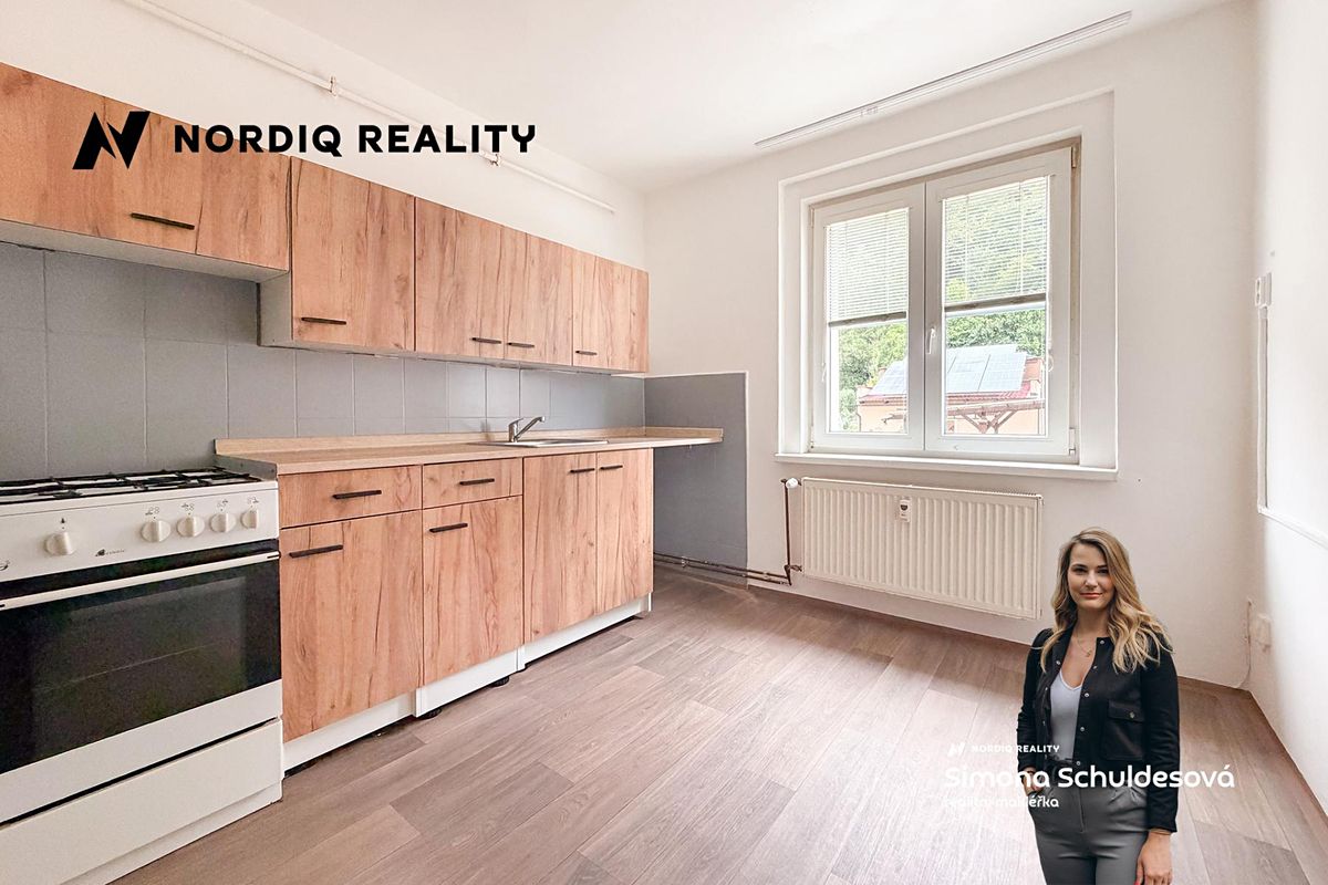Pronájem bytu 2+1 48 m²