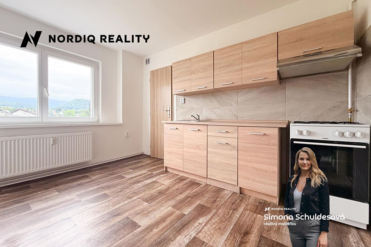 Pronájem bytu 1+1 40 m²