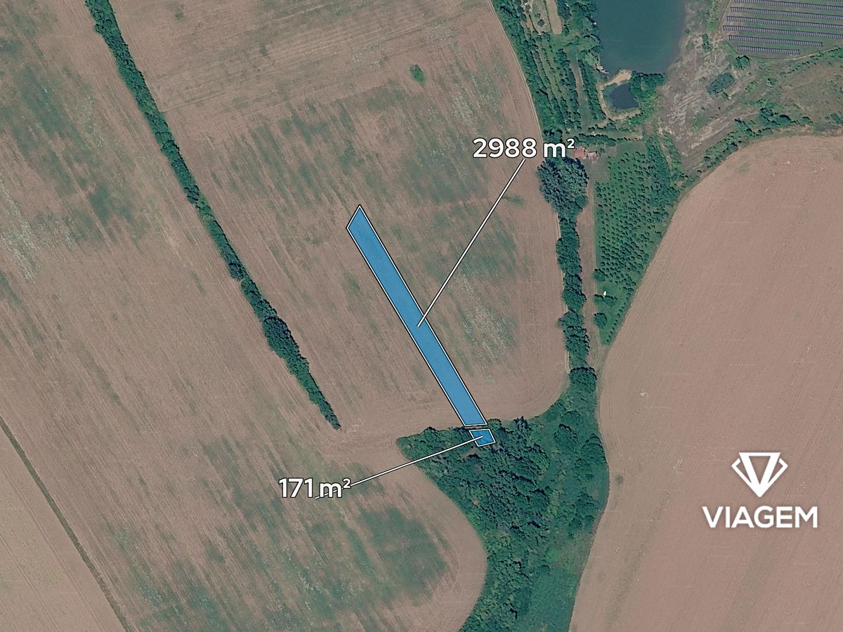 Prodej pole 3159 m² – fotografie 2