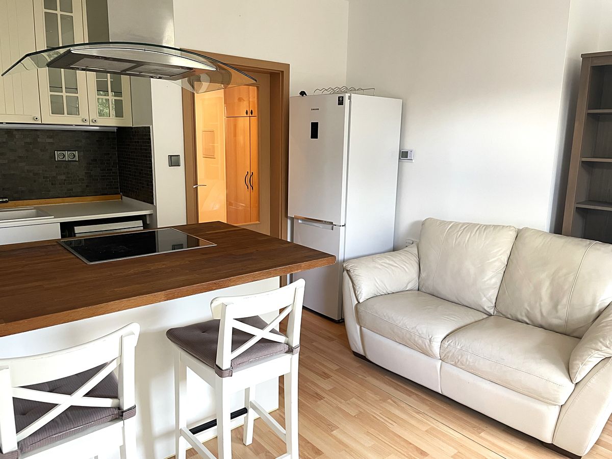 Pronájem bytu 1+kk 41 m²